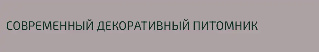 СОВРЕМЕННЫЙ ДЕКОРАТИВНЫЙ ПИТОМНИК